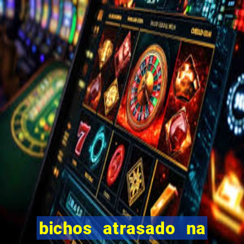 bichos atrasado na loteria dos sonhos